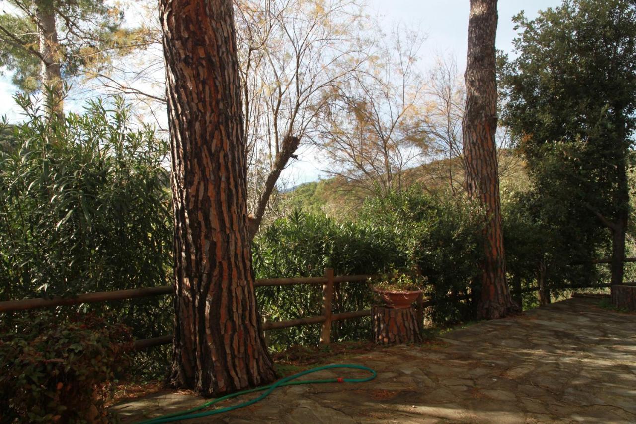 Villa Giulia Al Mare Castiglione della Pescaia Kültér fotó