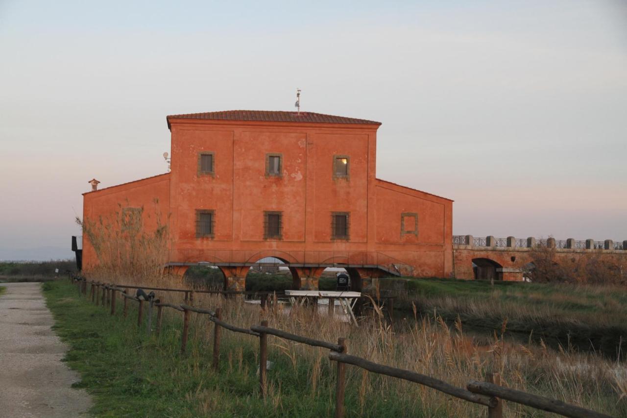 Villa Giulia Al Mare Castiglione della Pescaia Kültér fotó