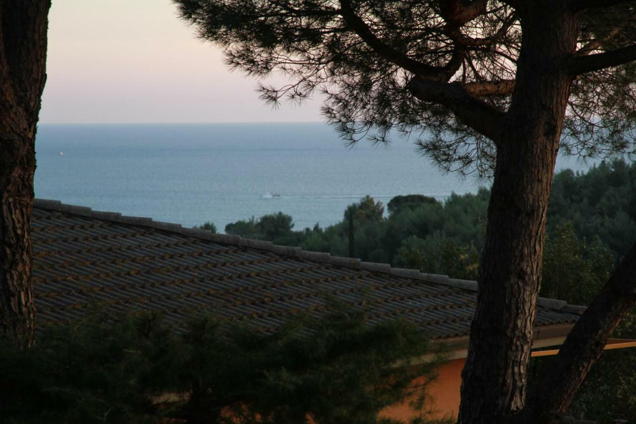 Villa Giulia Al Mare Castiglione della Pescaia Kültér fotó