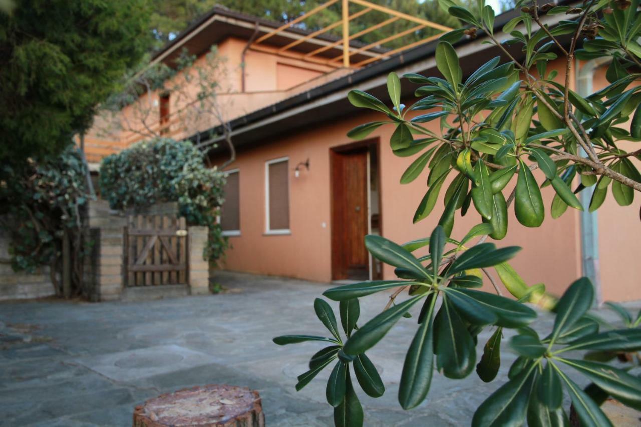 Villa Giulia Al Mare Castiglione della Pescaia Kültér fotó