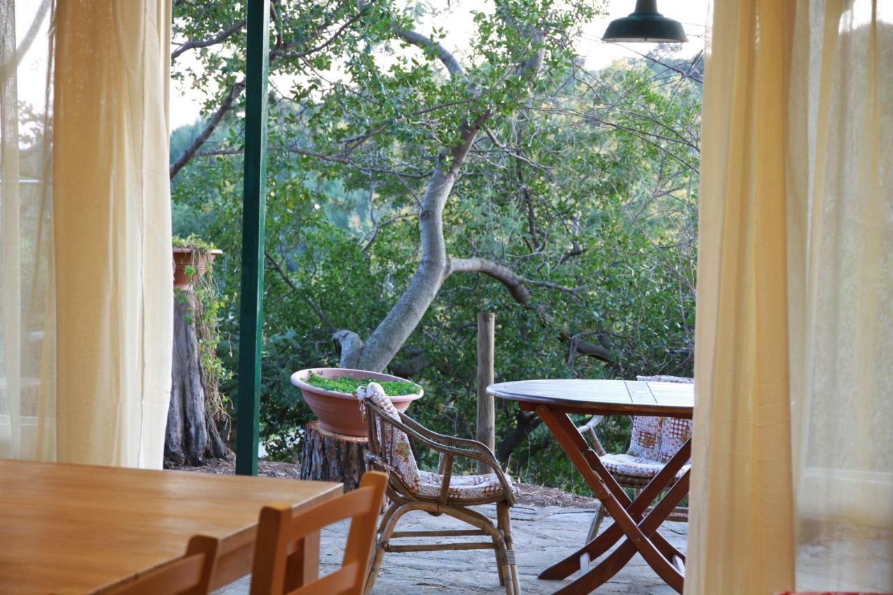 Villa Giulia Al Mare Castiglione della Pescaia Kültér fotó
